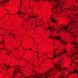 #99 ярко-красные (матовые) - EYE SHADOW Тени для век