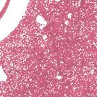 15 Бледно-розовый призматик - Лак для ногтей PRISMATIC