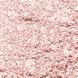 001 Eccentric Pink - Holiday Land Eyes Palette