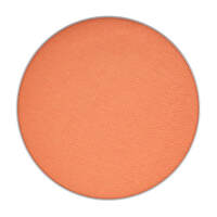 Eye shadow Pro Palette Refill Pan 