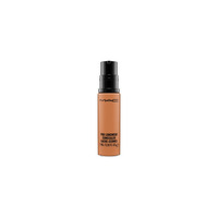 PRO LONGWEAR CONCEALER